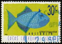 [Fish, ประเภท ML]