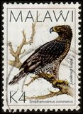 [Birds, type QH]