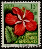 [Flowers, type BX]