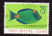 [Fish, type MT]