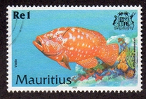 [Fish, type AAT]
