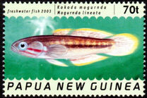 [Freshwater Fish, type AJR]
