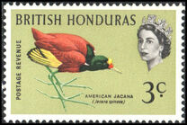 [Birds, type BU]
