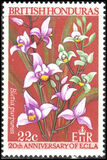 [Orchids, type CV]