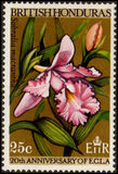 [Orchids, type CW]