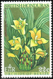 [Orchids of Belize, ประเภท DN]