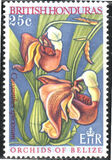 [Orchids of Belize, ประเภท DO]