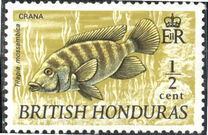 [Wildlife - Fish, տեսակ DT1]