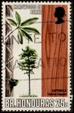 [Trees - Timber Industry, Typ EF]