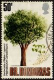 [Trees - Timber Industry, Typ FA]