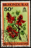 [Wild Plants, Typ FI]