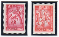 [Airmail - Chilean Earthquake Relief Fund, type RW]