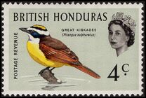 [Birds, type BV]