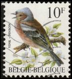 [Birds, نوع BNI]