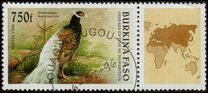 [Birds, տեսակ OP]