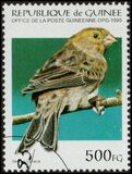 [Birds, type APV]
