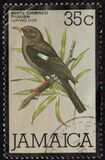 [Local Motifs - Birds and Sport, тип QG]