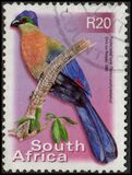 [Fauna and Flora - Birds, Tip ATI]