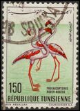 [Airmail - Birds, タイプ IF]
