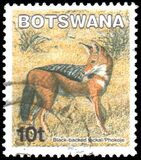 [Mammals, τύπος ABT]