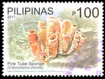 [Marine Life - Fish, 类型 JAF]
