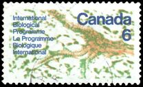 [International Biological Programme, Tipi MX]