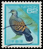 [Definitive Issue - Birds, タイプ CKM]