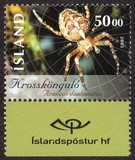 [Spider & Fly, tip AFK]