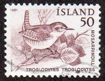 [Birds - Wren, Golden Plover and Raven, Вид ME]