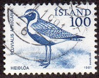 [Birds - Wren, Golden Plover and Raven, Вид MF]