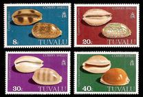 [Cowrie Shells, प्रकार DL]