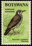 [Birds, Tip U]