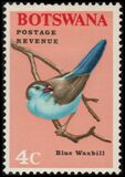 [Birds, Tip V]
