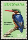 [Birds, Tip Z]
