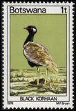 [Birds, Typ GP]