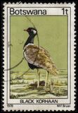 [Birds, Typ GP]