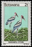 [Birds, Typ GQ]