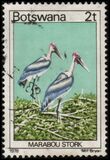 [Birds, Typ GQ]