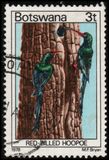 [Birds, Typ GR]