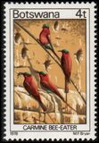 [Birds, Typ GS]
