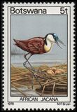 [Birds, Typ GT]
