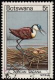 [Birds, type GT]