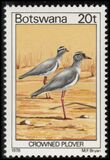 [Birds, type GX]