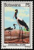 [Birds, type HF]