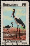 [Birds, type HF]
