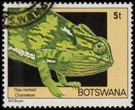 [Reptiles, type II]