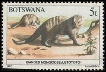 [Animals of Botswana, タイプ OQ]