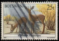 [Animals of Botswana, タイプ OX]