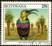 [Birds, type XI]
