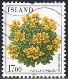 [Flowers, type OM]